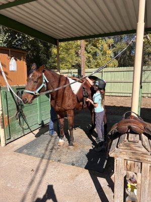 Liz Sanchez Training Stable