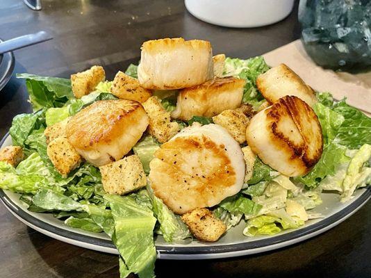 Small Caesar Salad w/ a generous portion of very large Grilled Scallops