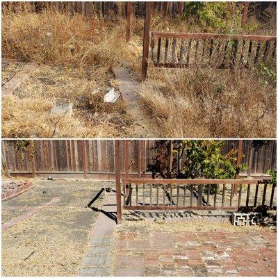 Back yard cleanup (before/after)