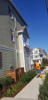 We use a multitude of techniques when cleaning windows. Sponge and squeegee, and the Water Fed Pole are our most common