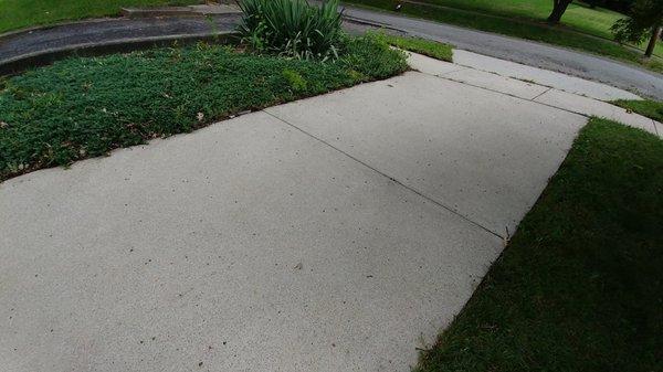 Driveway after: the tiny acorns began to fall as the winds picked up before the storms!