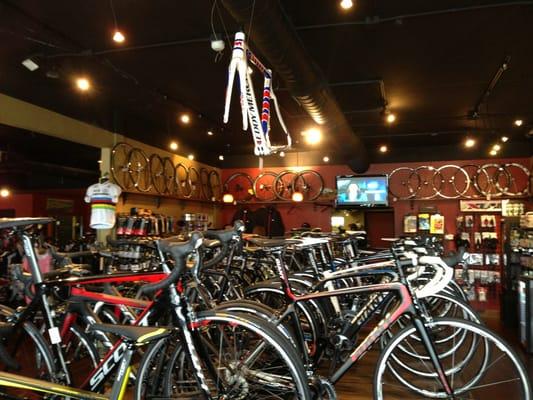 Winter Park Cycles