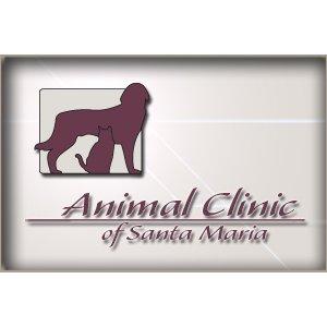 Animal Clinic Of Santa Maria