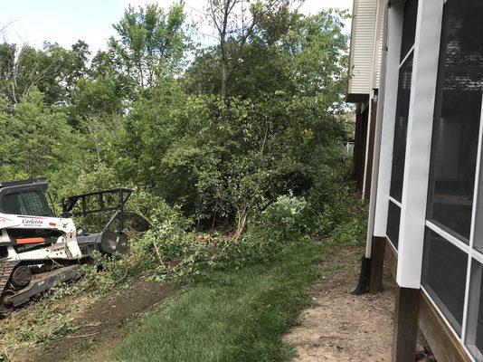 Reclaiming your property lines from around your house. Vegetation grinding/mulching