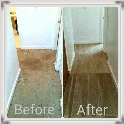 Pet Stains - Carpet Cleaning Before and After