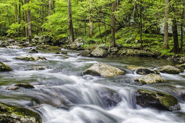 Near Cades Cove TN Have large Canvas prints of your trips produced on Canvas or Paper!