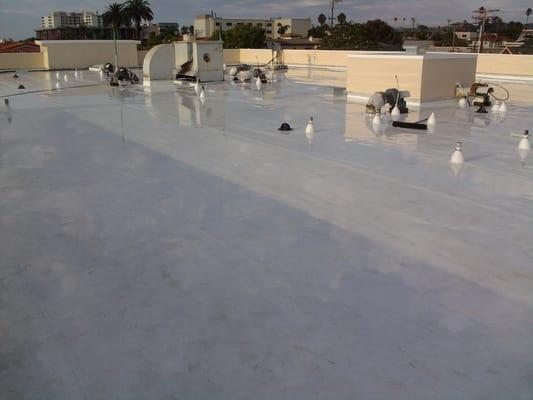 New single-ply roof system on multi story, multi-unit dwelling in La Jolla, Ca