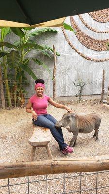 Me and Edwart the warthog! I was chilling with him after his meal and there was nary a smell!