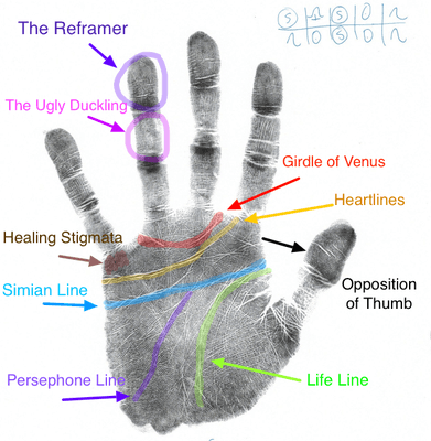 Feona's Hand Analysis Readings