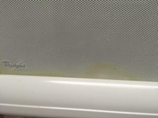 Dirty yellow grime again inside the microwave door. Can't get in to clean it.