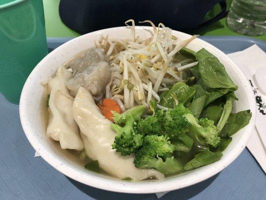 Wonton and dumpling noodle soup bowl 7.75