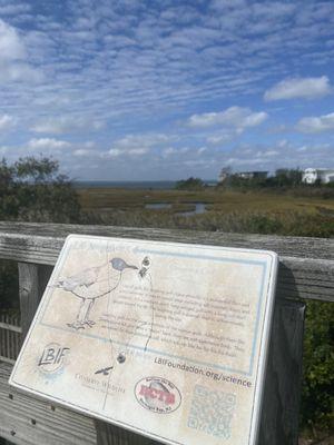 The view from yoga deck