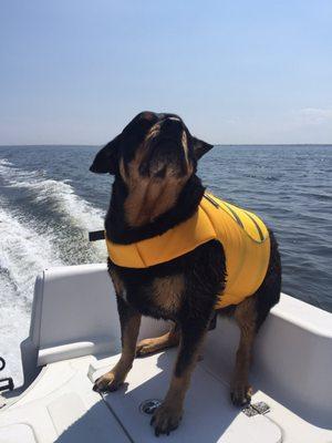 Peanut loves the boat!