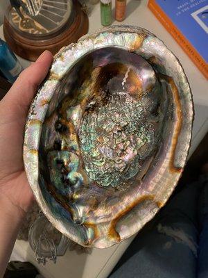 Rainbow oyster shell for burning sage or incense