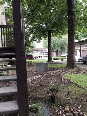 Gardener blowing debris back onto a front porch