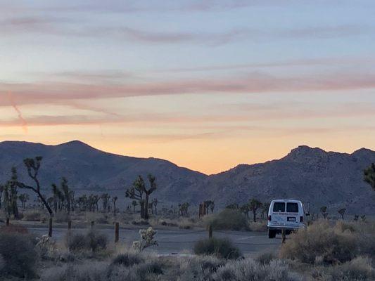 Our Joshua Tree National Park Driving Tour stays on paved roads but still visits incredible locations in the park!