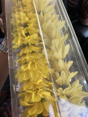 $80 Daisy lei