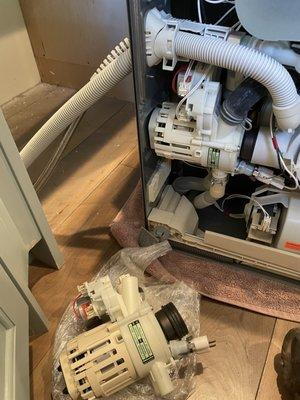 Miele dishwasher. Circulation pump replacement