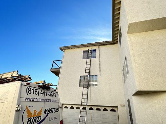 Bird netting installed on the house eves to keep swallows from nesting.