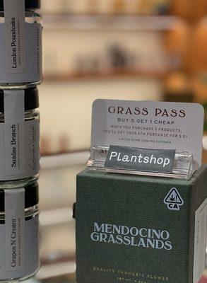 Enjoy Mendocino Grasslands Grass Pass membership exclusively available at Plantshop.