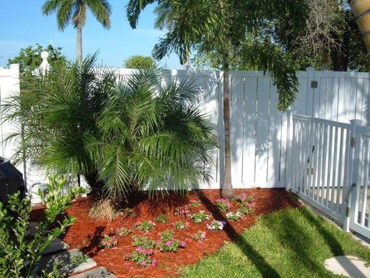 Robellini, Impatiens, and mulch planted by pool by Ted Conner Landscaping