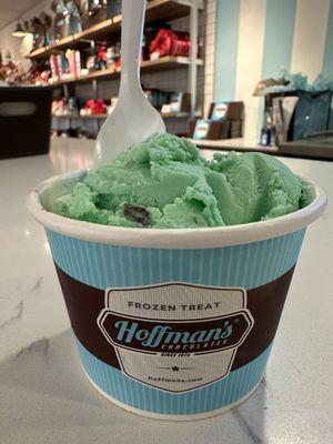 Classic Mint Chocolate Chip