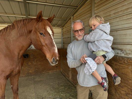 Volunteers enjoying horse time.