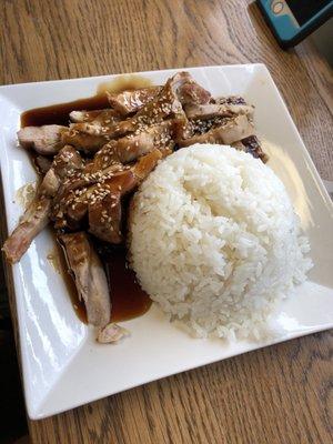 Chicken Teriyaki- large for only $5!