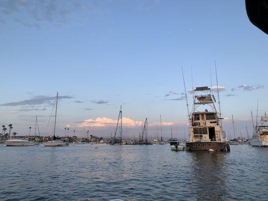 Gorgeous evening on the bay