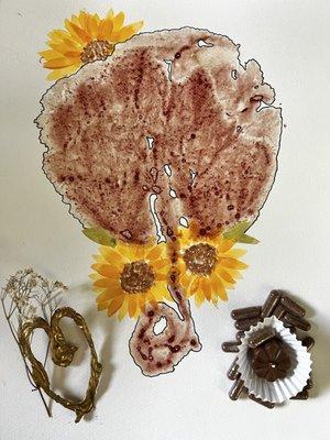 Placenta floral print, capsules, chocolates, placenta cord keepsake