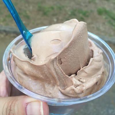 Chocolate custard from Vintage custard