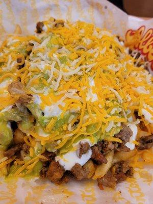 Carne Asada Fries