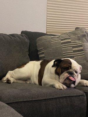 Clean and not stinking up the couch