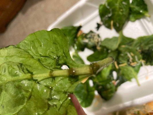 slimy spinach on pizza for U shorewood family size salad