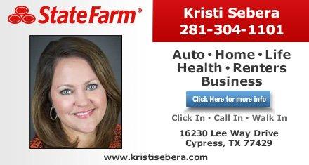 Kristi Sebera - State Farm Insurance