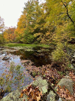 Beautiful pond at the trailhead