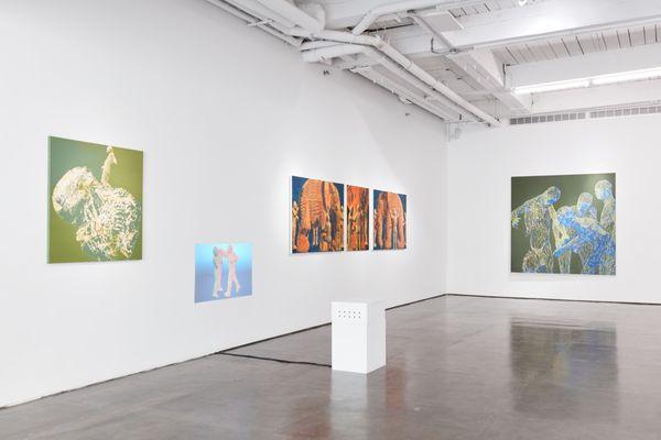 Installation view of Miao Xiaochun's "Metamorphosis"