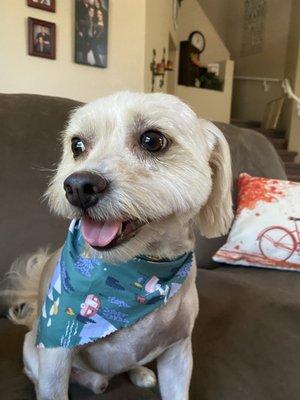 They gave my pup a camping bandana for our camping trip!