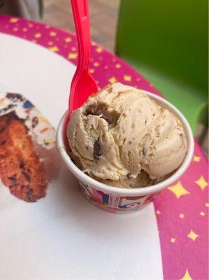 Chunky Peanut Butter Cup ice cream so good!