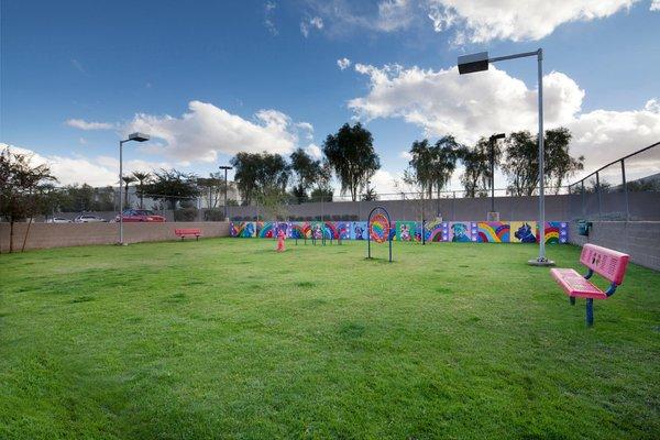 Dog Park at 909 West Apartments