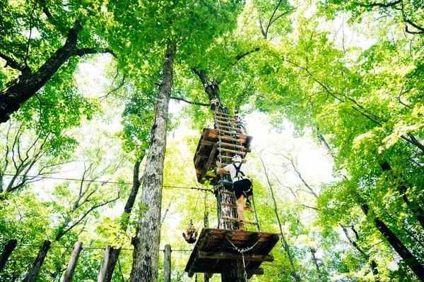 TreeTops Adventures takes your outdoor experience to new heights.