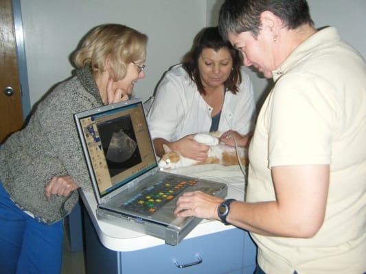 Dr. Bock and Meg helping with ultrasound