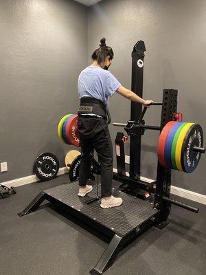 Rogue belt squat to teach patients how to perform a squat correctly.