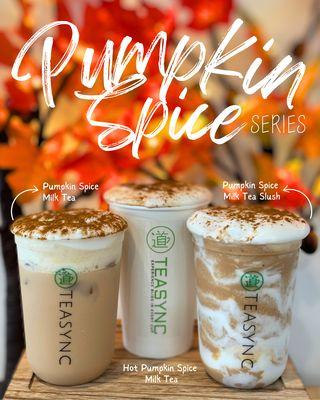 Seasonal Pumpkin Spice Series