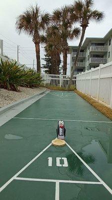 shuffle board