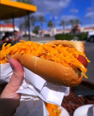 Chili Cheese Dog