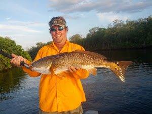 Redfish in Bonita Springs, FL