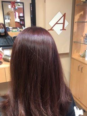 A golden violet light brown to a violet mahogany using Pravana Chromasilk Color.