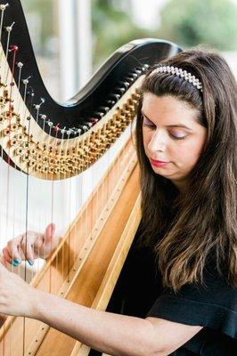 Harpist at Cocktail Hour