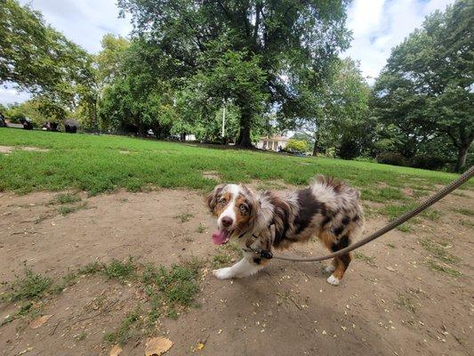 Jeff in action in the park!